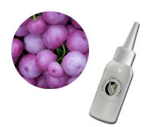 Comprar ELIQUIDO GAULTERIA SIN NICOTINA 10ml al mayor