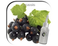 Comprar ELIQUIDO GROSELLA SIN NICOTINA 10ml al mayor