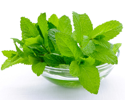 Comprar AROMA MENTA al mayor