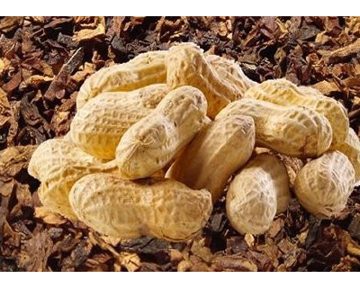 Comprar AROMA TABACO NUTACCO al mayor