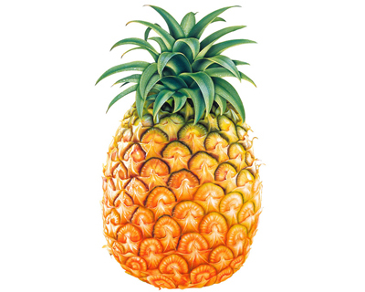 Comprar AROMA PIСA al mayor