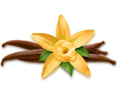 Comprar AROMA VAINILLA al mayor